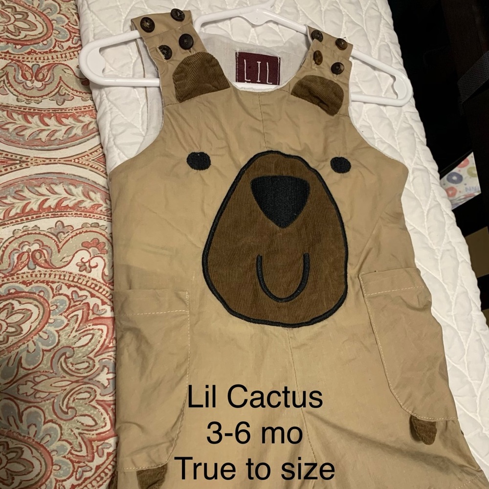 Lil Cactus bear outfit